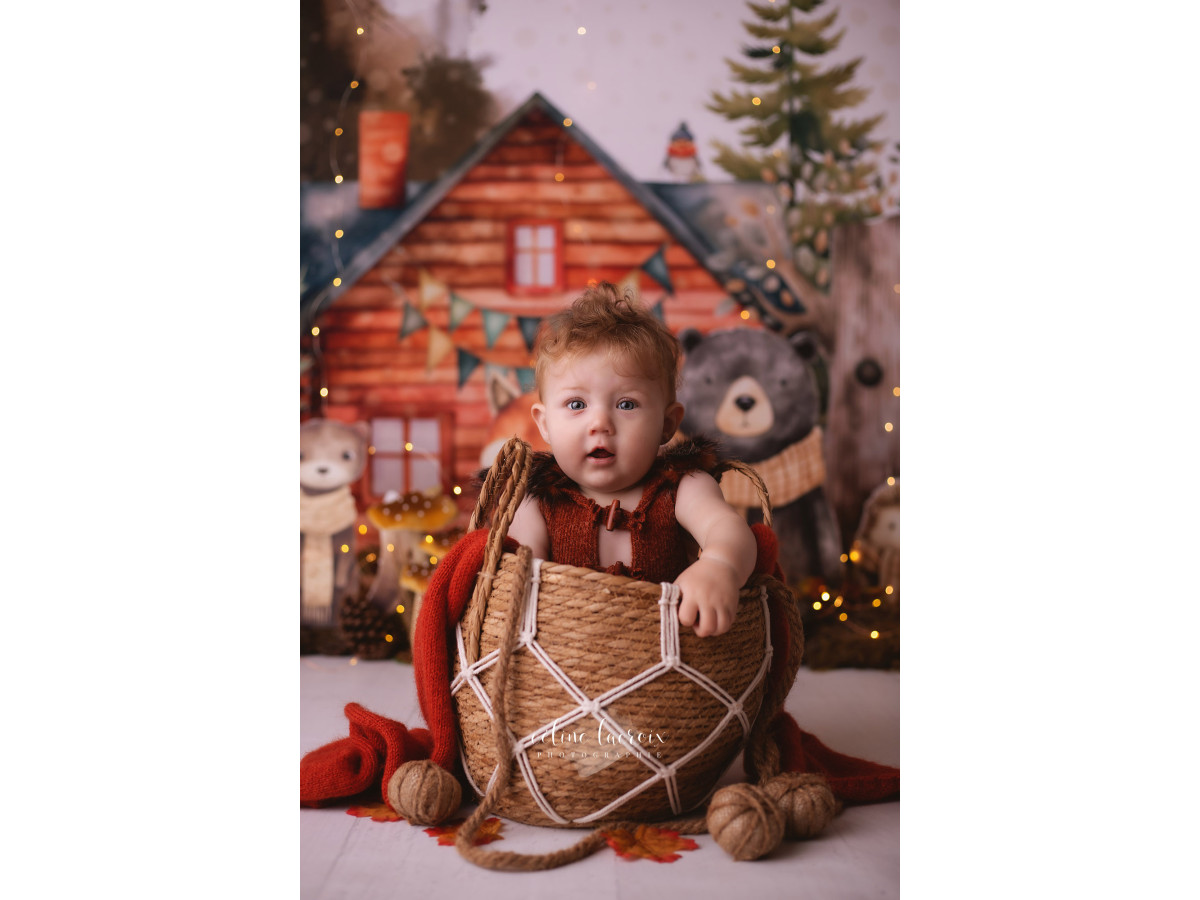 Baby & cake smash photo backdrop Chalet des Pins – pine chalet with plush forest animals | Colors&Drops