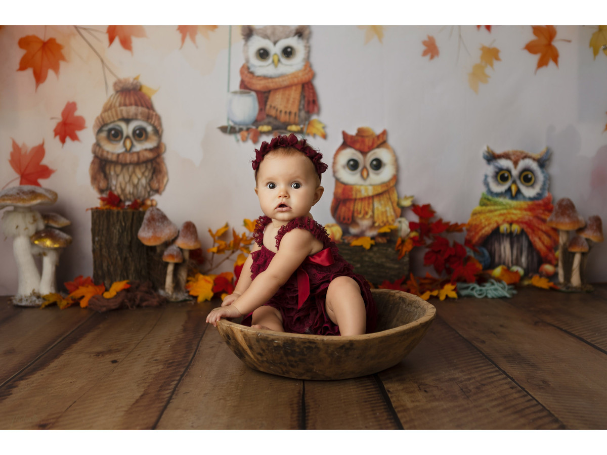 Baby & cake smash photo backdrop Chouettes Tricot – knitted owls with autumn leaves and mushrooms | Colors&Drops