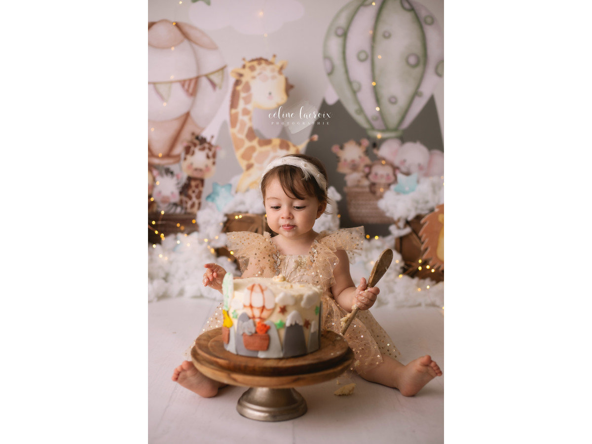 Fond photo bébé et smash cake Nimbus – montgolfières et animaux en peluche dans les nuages | Colors&Drops