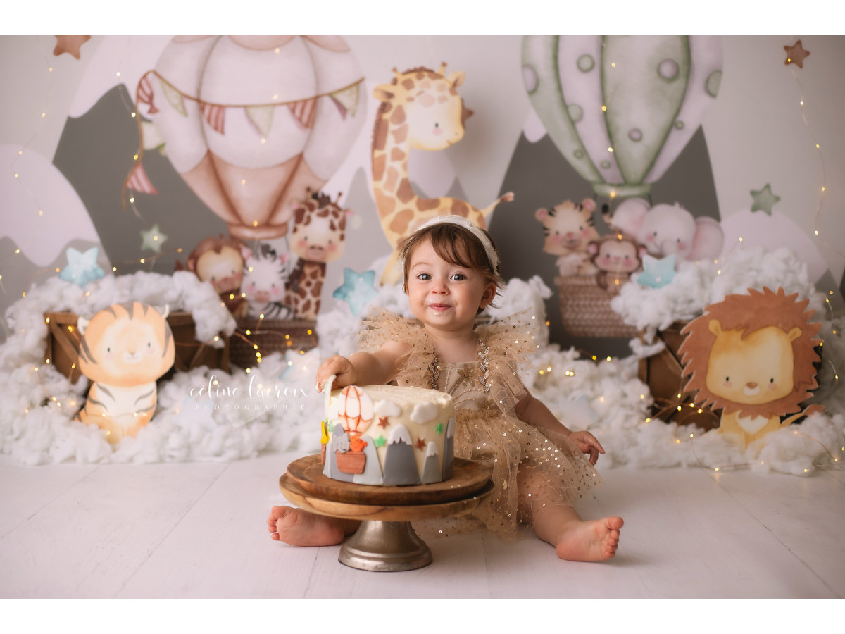 Fond photo bébé et smash cake Nimbus – montgolfières et animaux en peluche dans les nuages | Colors&Drops