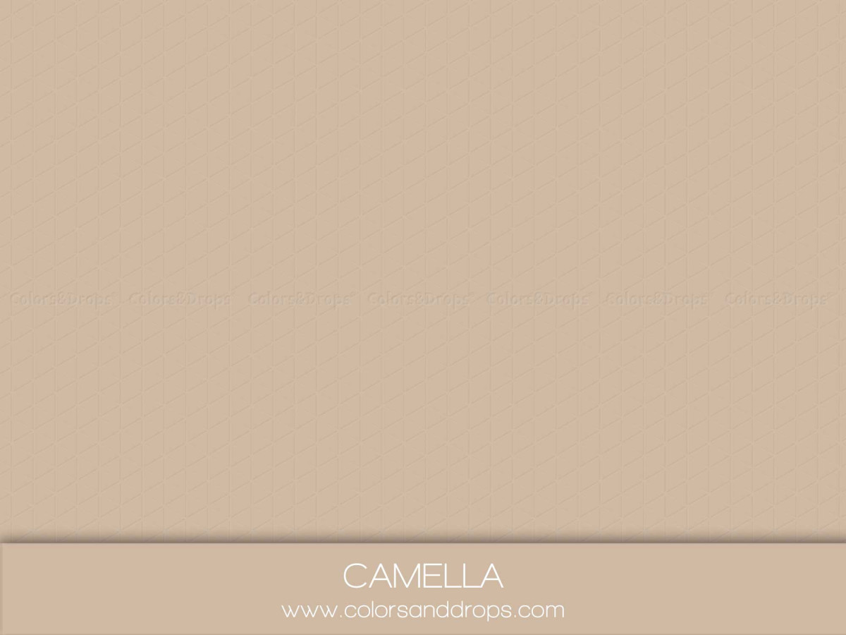 Fondo y suelo fotográficos beige arena lisos Camella – fondo liso beige arena | Colors&Drops