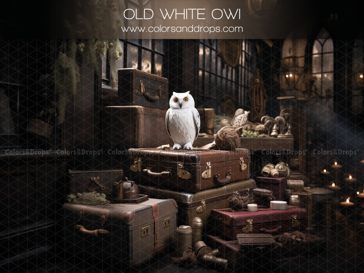 Fondo fotográfico de invierno Old White Owl – búho blanco sobre maletas antiguas en un desván | Colors&Drops