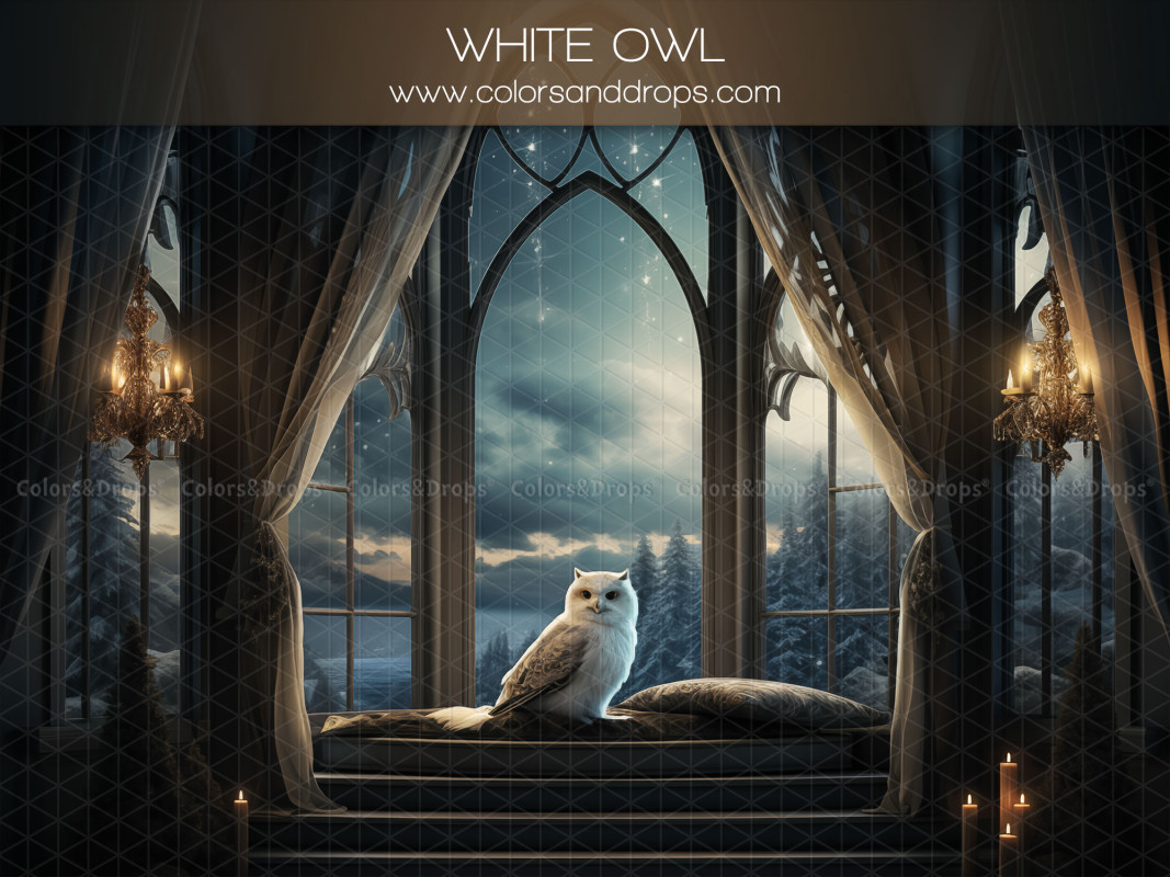 Fond photo d'hiver White Owl – chouette blanche devant une fenêtre gothique de nuit | Colors&Drops