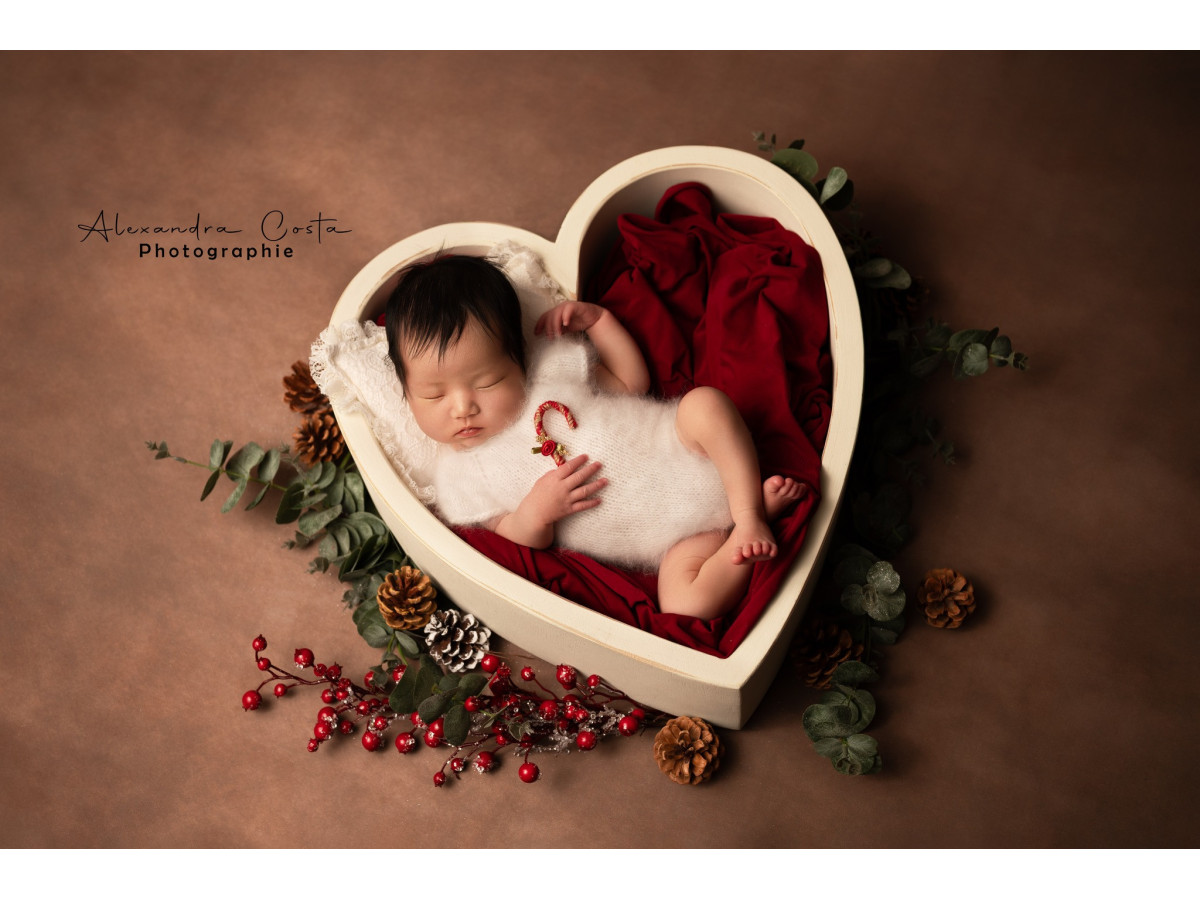 Taupe brown textured photo backdrop & floor Earth – vignetted taupe brown painted texture | Colors&Drops
