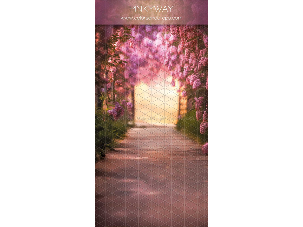 Fondo fotográfico infinito con suelo Pinky Way – sendero bajo árboles en flor rosas y violetas | Colors&Drops