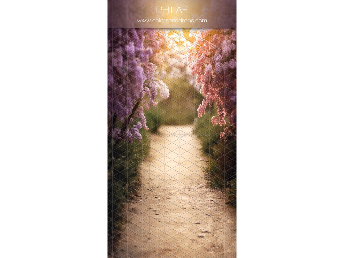 Infinity photo backdrop with floor Philae – path lined with flowering lilacs | Colors&Drops