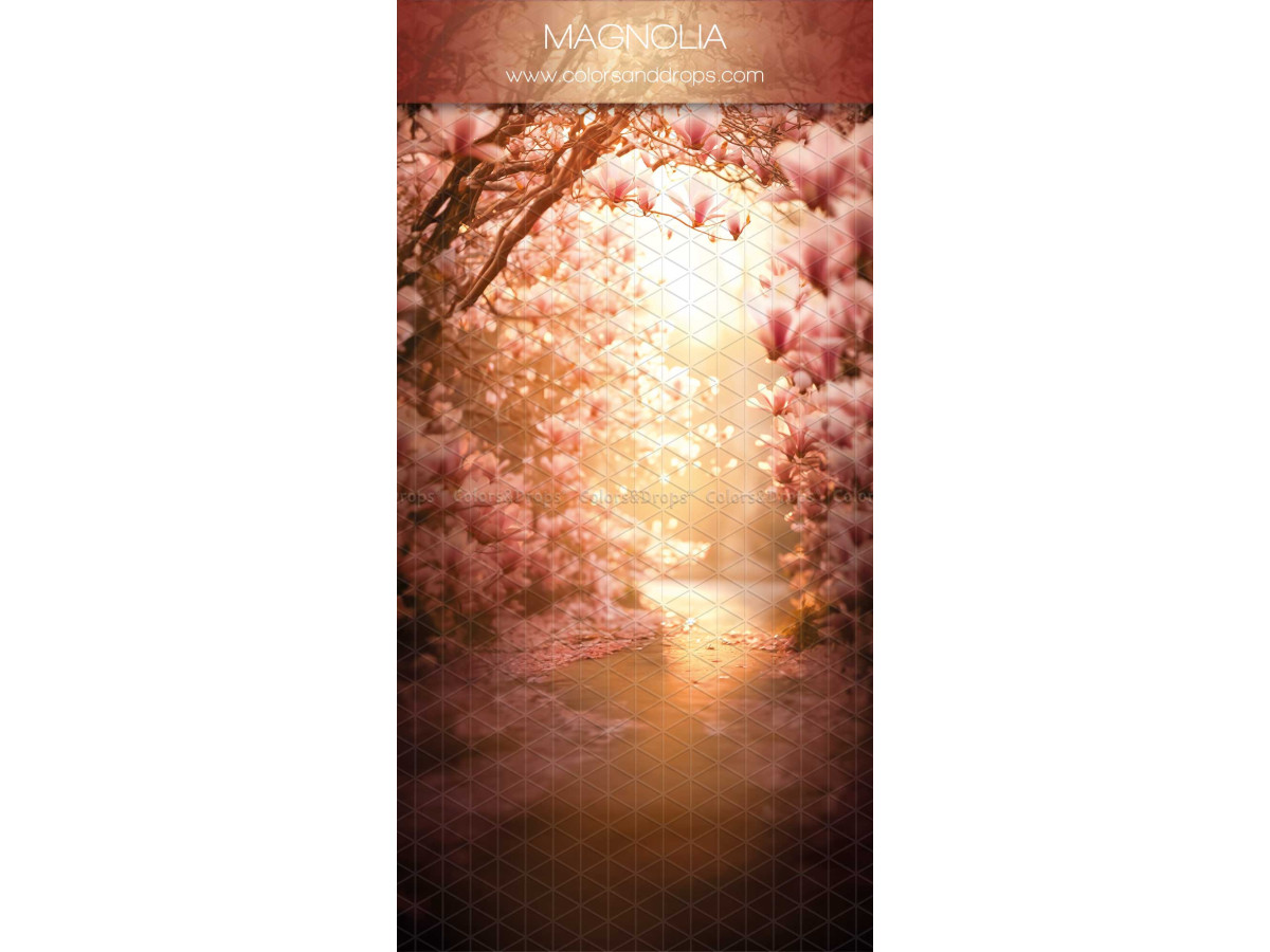 Infinity photo backdrop with floor Magnolia – path under pink trees at sunset | Colors&Drops