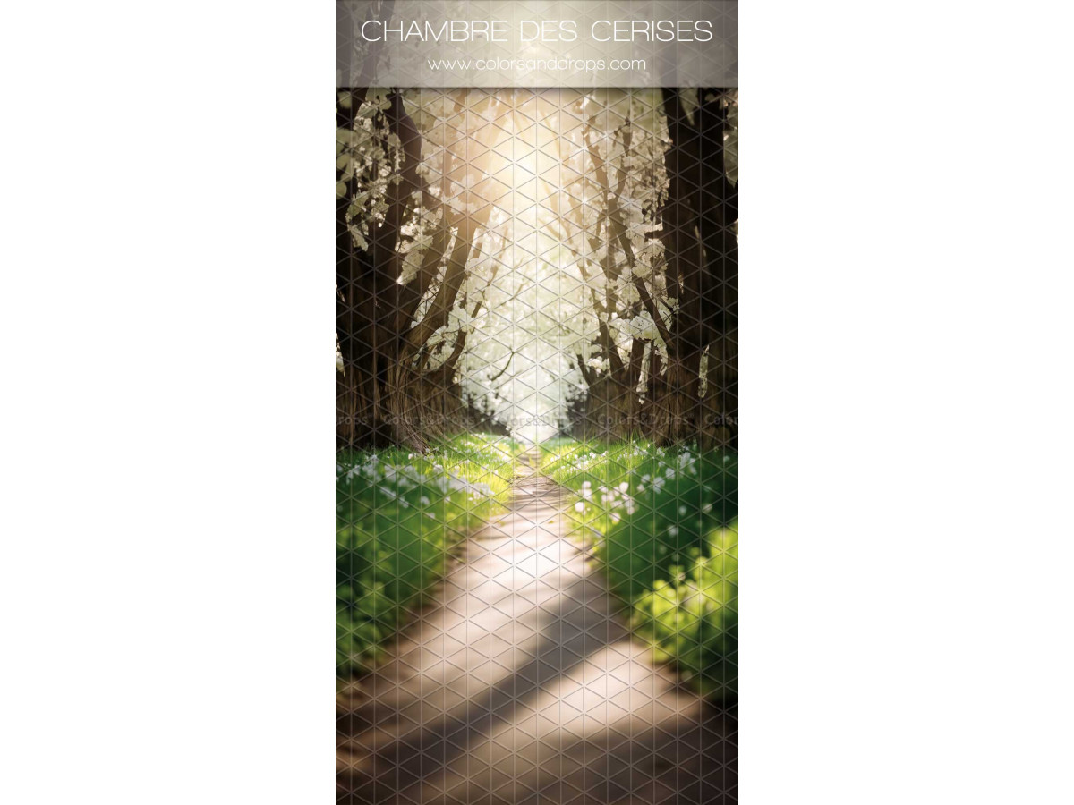 Fond photo infini avec sol Chemins des Cerises – chemin sous des cerisiers en fleurs blancs | Colors&Drops