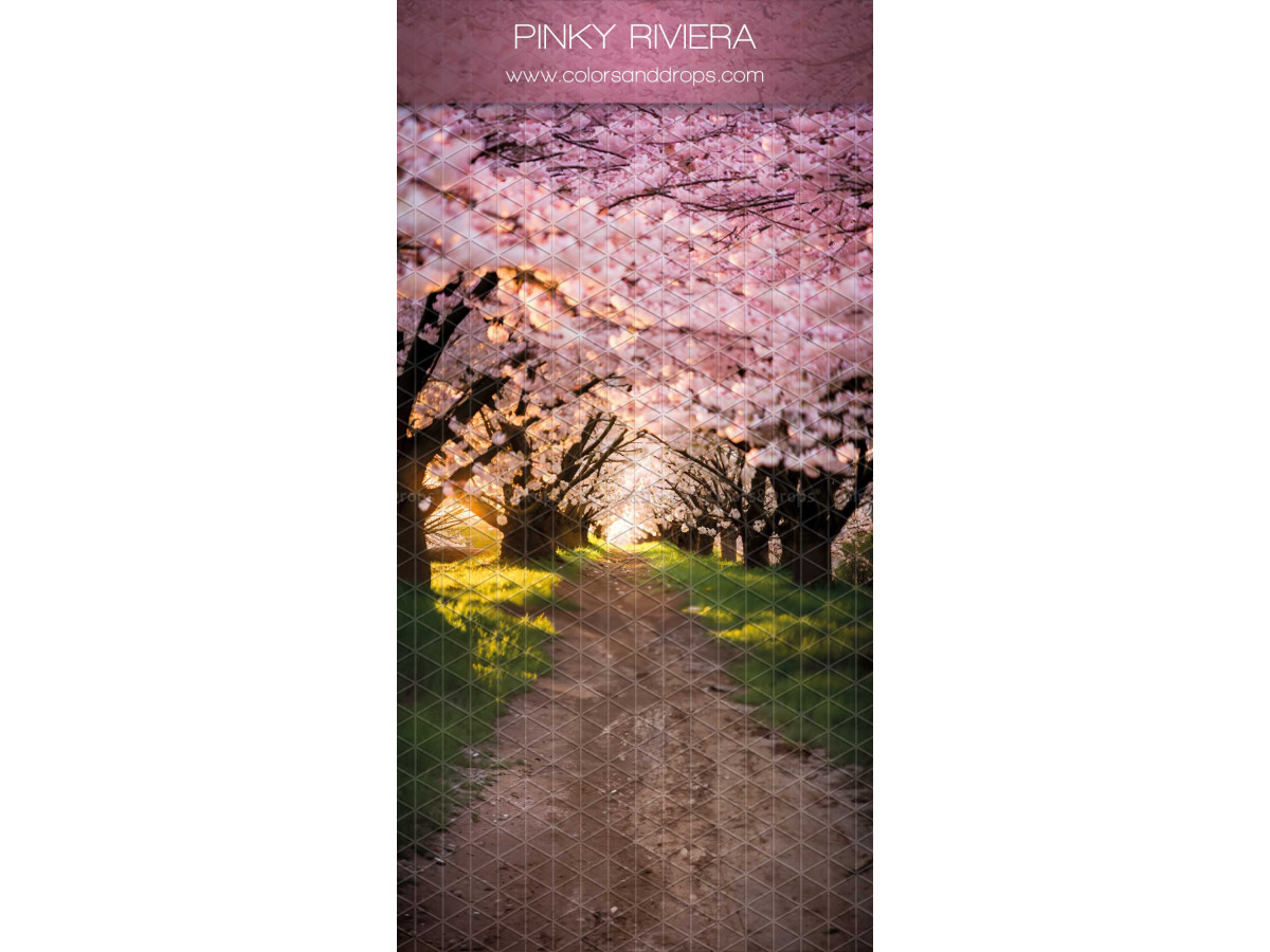 Infinity photo backdrop with floor Cerisiers Rose – dirt path under pink cherry trees | Colors&Drops