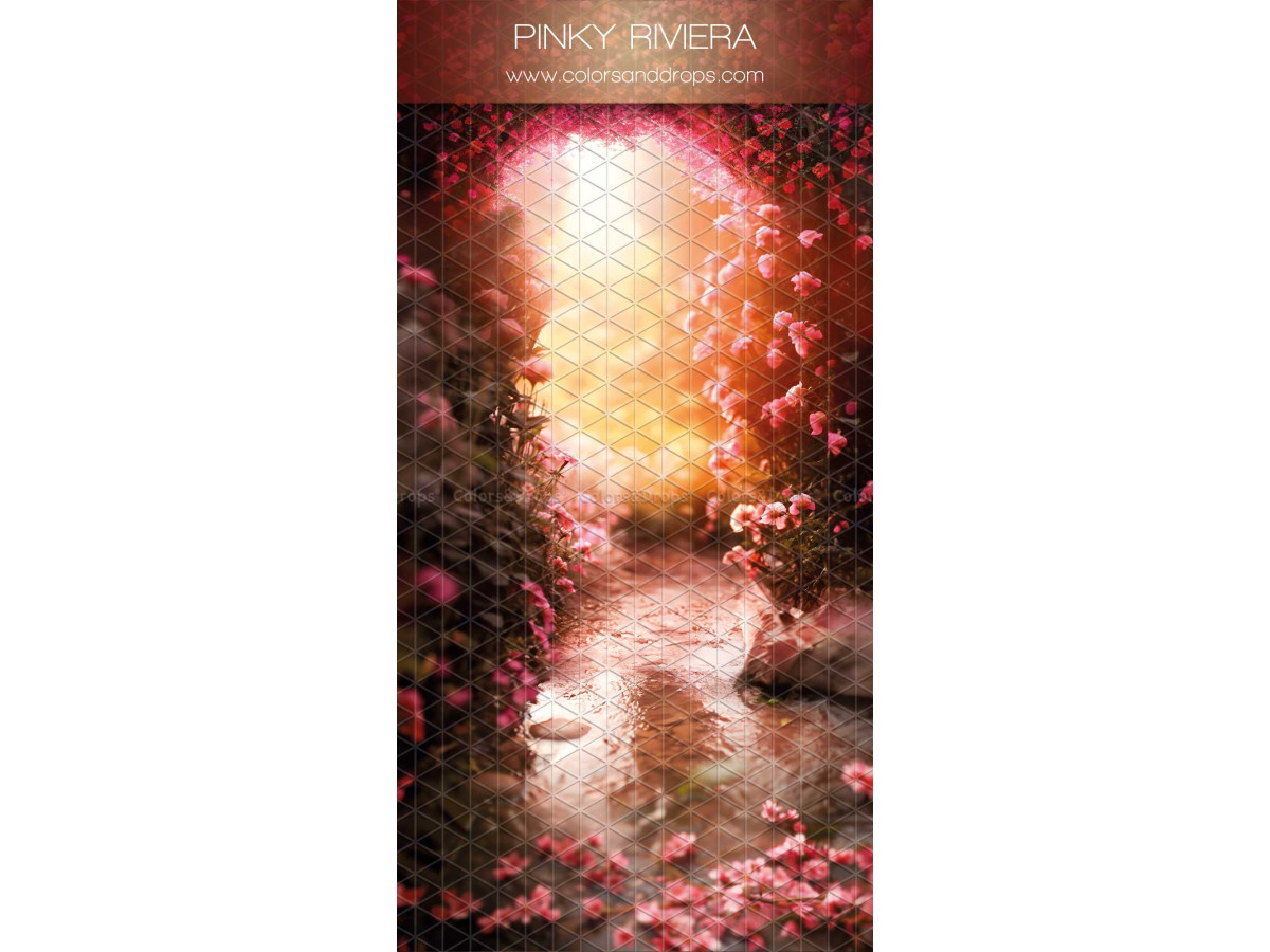Infinity photo backdrop with floor Pinky Riviera – stream between wild roses in the light | Colors&Drops