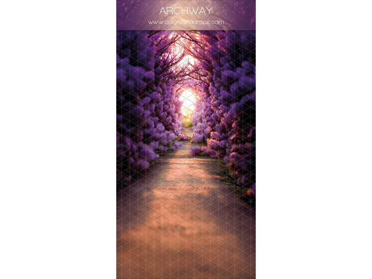 Fond photo infini avec sol Archway – allée sous une voûte de glycines violettes | Colors&Drops