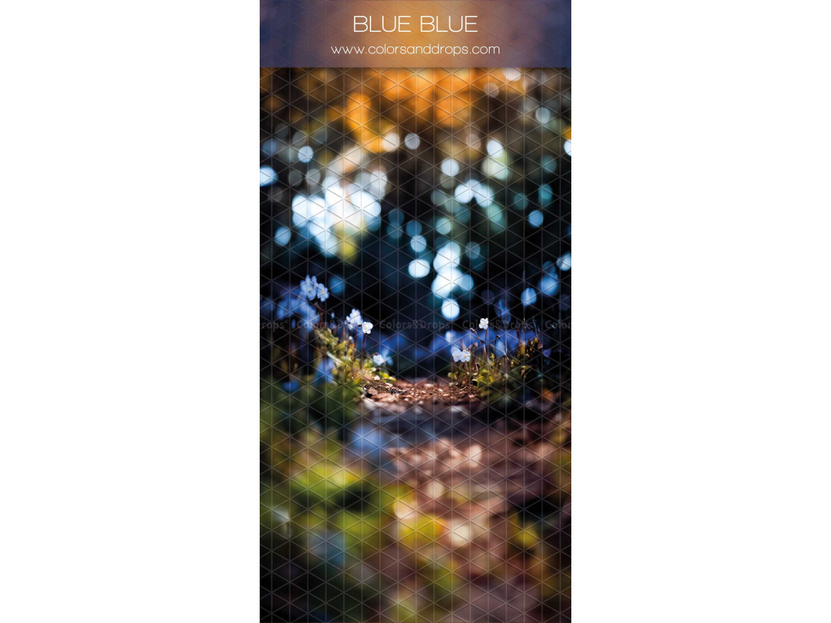 Fond photo infini avec sol Blue Blue – sentier forestier en bokeh bleu et doré | Colors&Drops