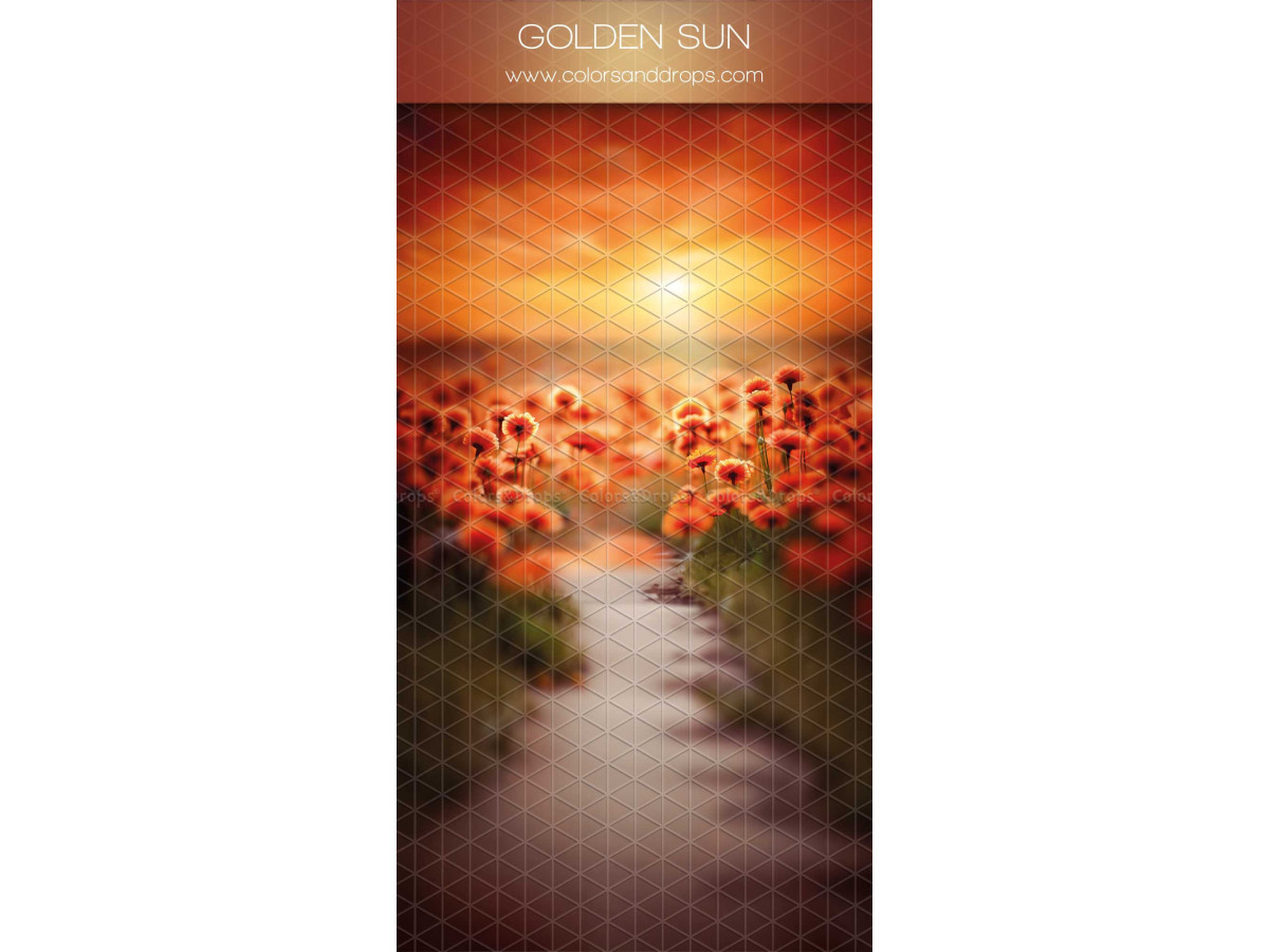 Fondo fotográfico infinito con suelo Golden Sun – camino entre amapolas al atardecer | Colors&Drops