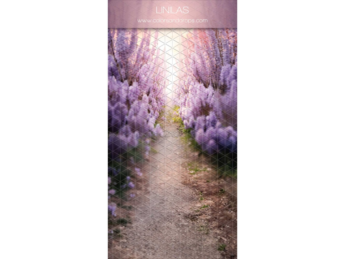 Fondo fotográfico infinito con suelo Linilas – sendero bordeado de lilas violetas | Colors&Drops