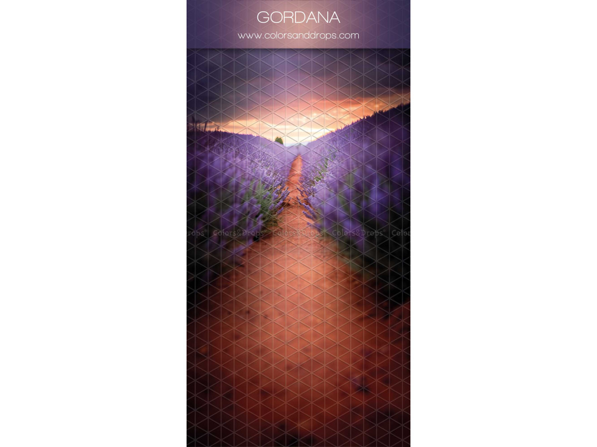 Infinity photo backdrop with floor Gordana – path between lavender fields at dusk | Colors&Drops