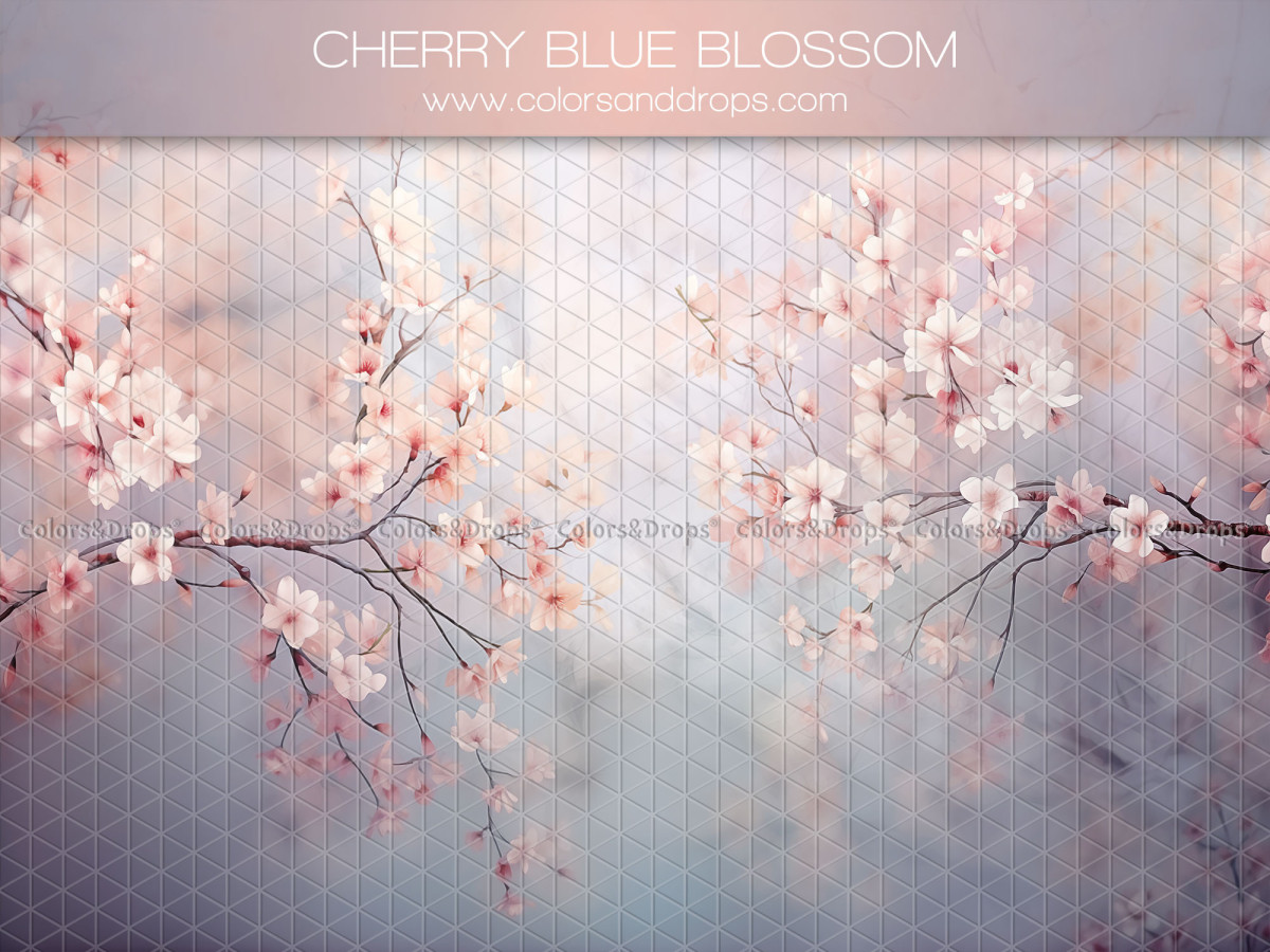 Maternity & portrait photo backdrop Cherry Blue Blossom – cherry blossom branches on misty blue background | Colors&Drops