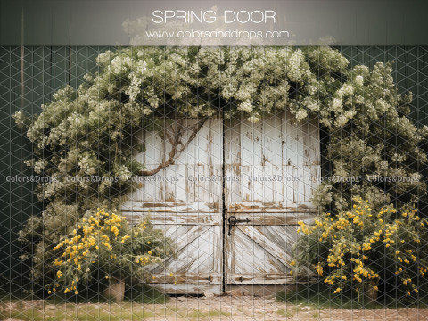 Fond photo Spring Door – portes de grange blanches sous glycine blanche et fleurs jaunes | Colors&Drops