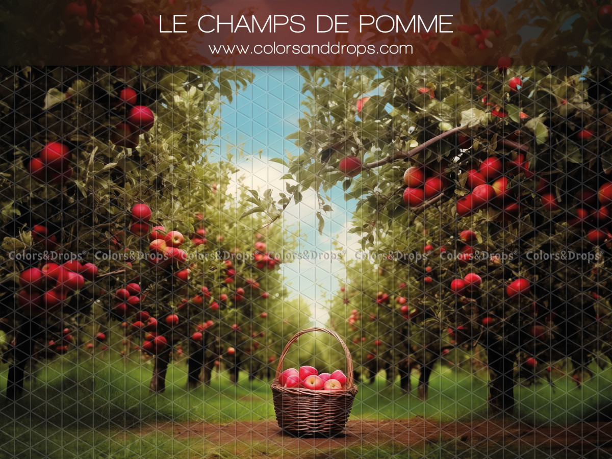 Fond photo de printemps Le Champs de Pomme – verger de pommiers avec panier de pommes rouges | Colors&Drops
