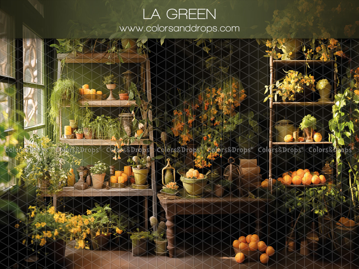Fond photo de printemps La Green – serre verte avec étagères de plantes et agrumes | Colors&Drops