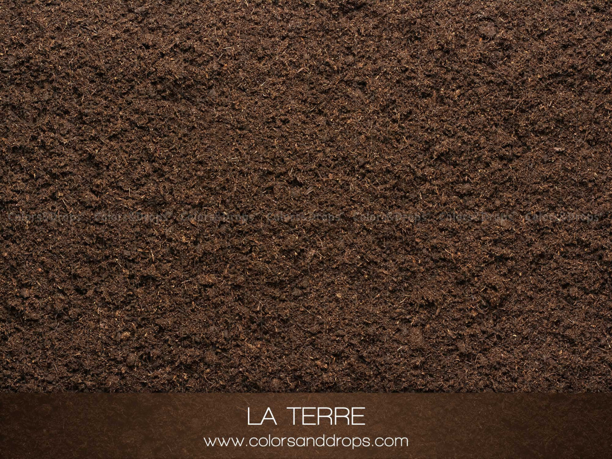Sol photo La Terre – texture de terre brune | Colors&Drops