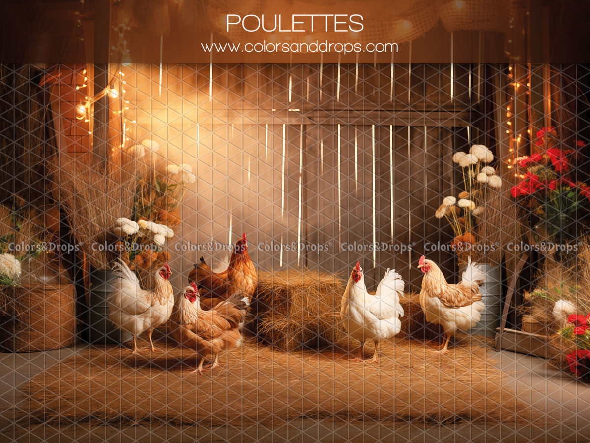 Baby & cake smash photo backdrop Poulettes – hens in a wooden barn with straw | Colors&Drops