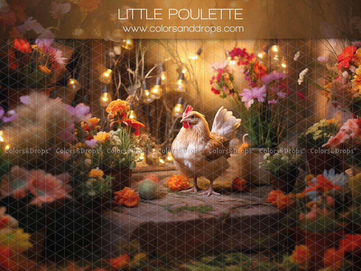 Fond photo bébé et smash cake Little Poulette – poule parmi des fleurs avec guirlande lumineuse | Colors&Drops