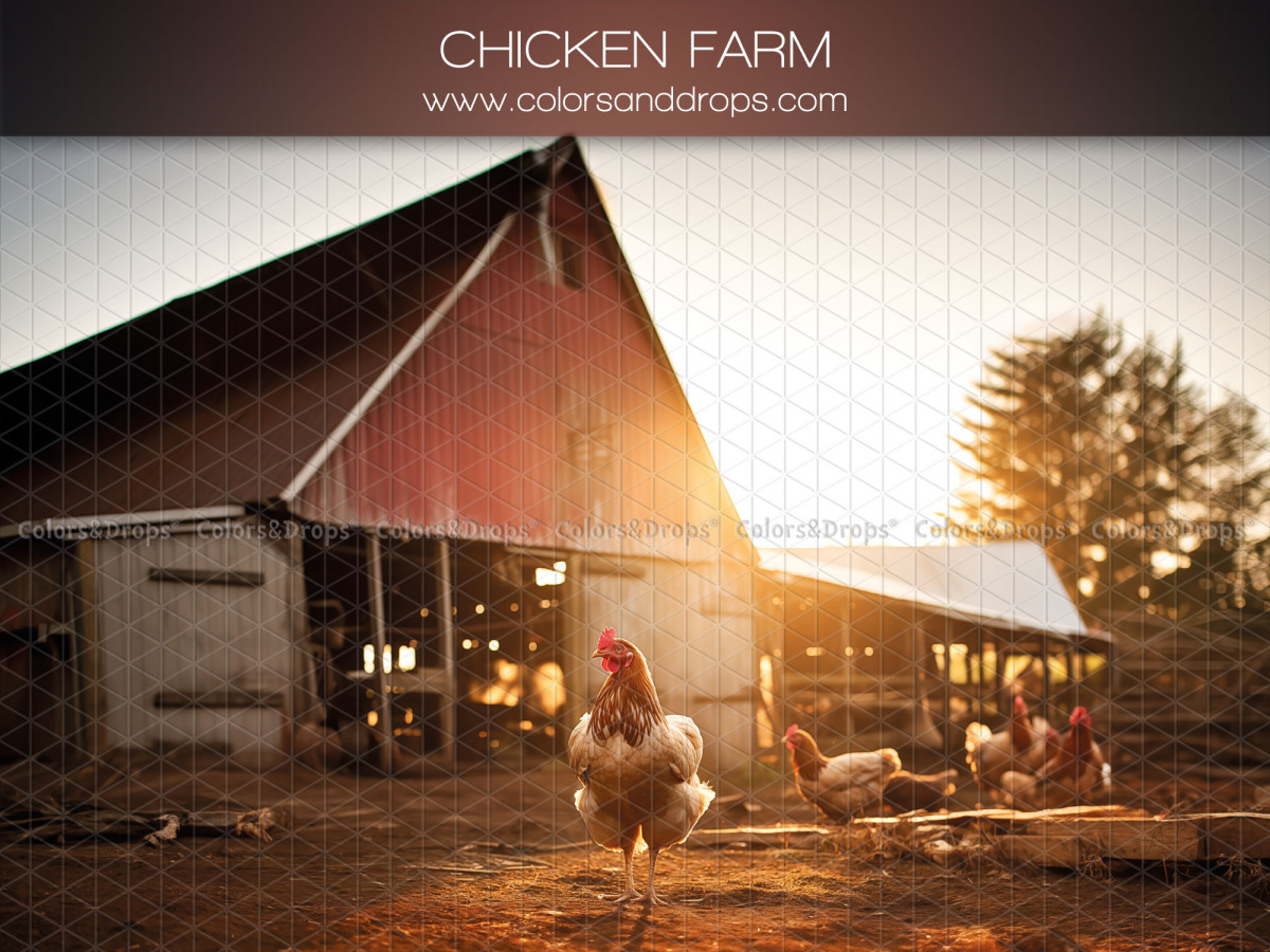 Fond photo de printemps Chicken Farm – ferme avec grange rouge et poules au soleil | Colors&Drops
