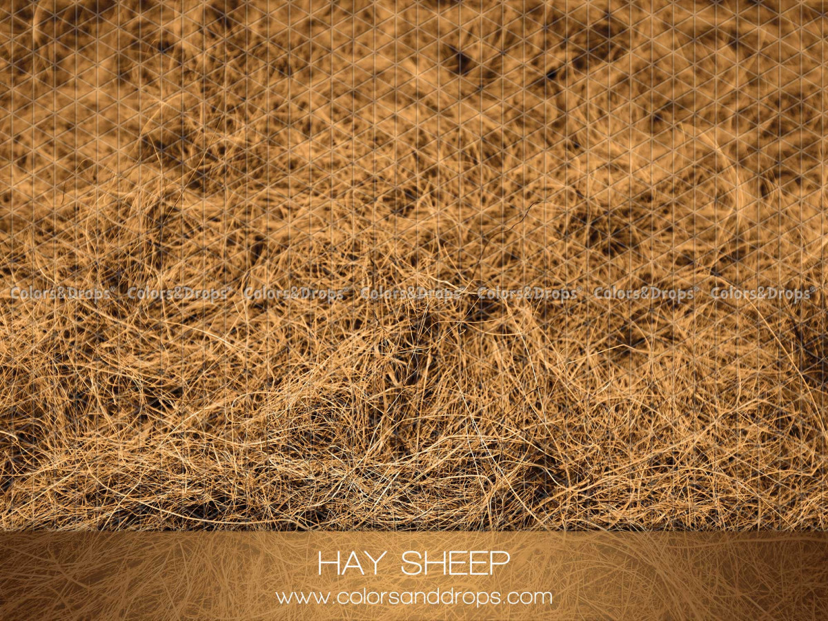 Suelo fotográfico Hay Sheep – textura de paja dorada | Colors&Drops
