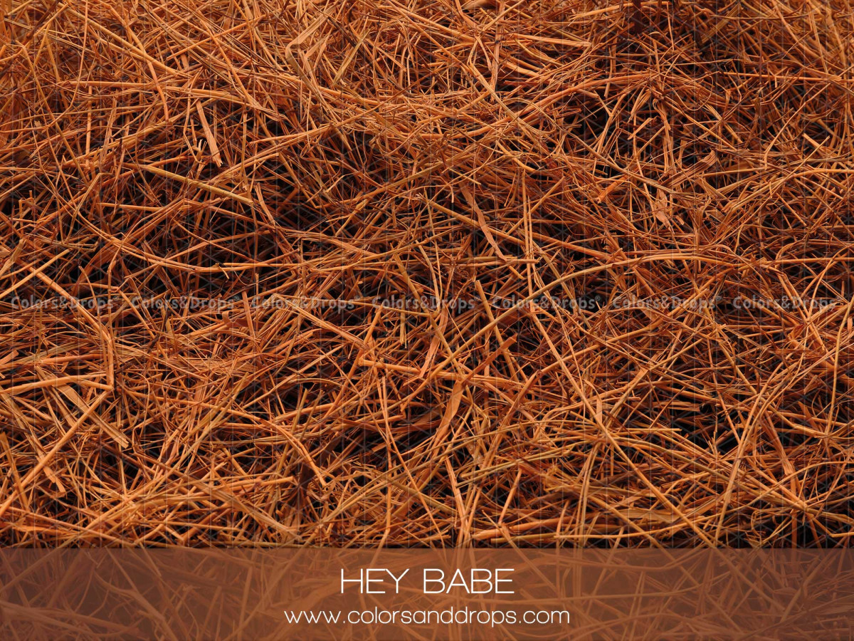 Photo floor Hay Babe – reddish straw texture | Colors&Drops
