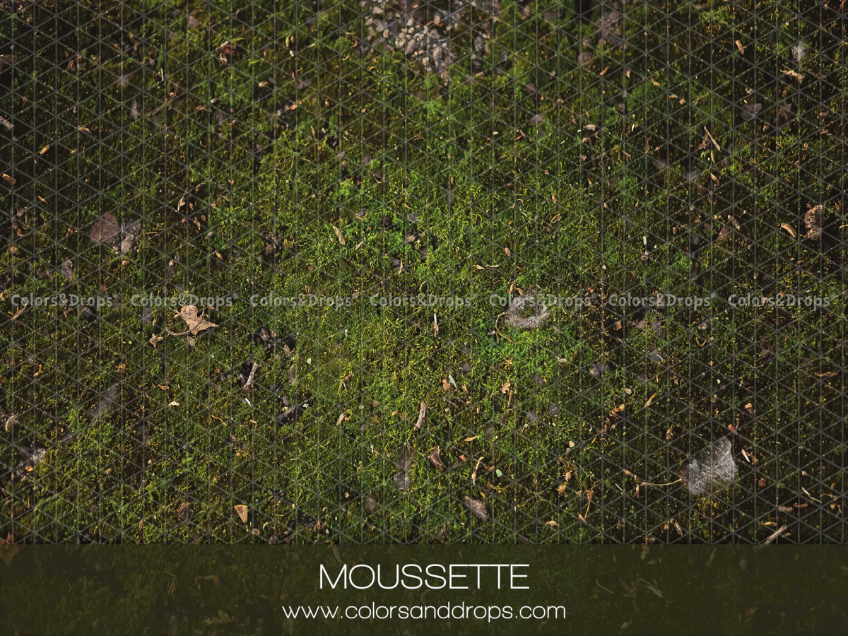 Photo floor Moussette – green moss ground texture | Colors&Drops