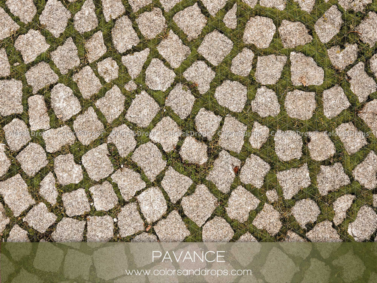 Sol photo Pavance – pavés blancs jointoyés de mousse vus de dessus | Colors&Drops