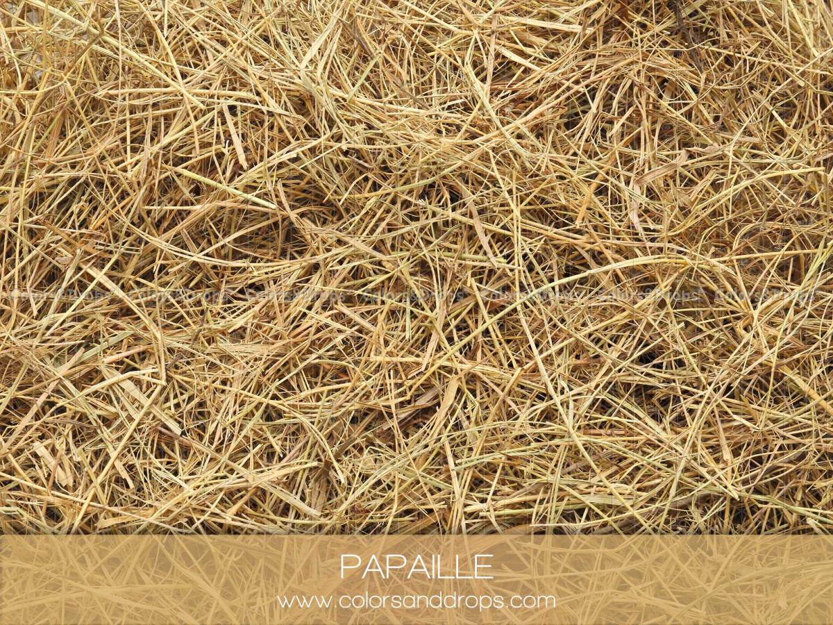 Photo floor Papaille – dry straw texture | Colors&Drops