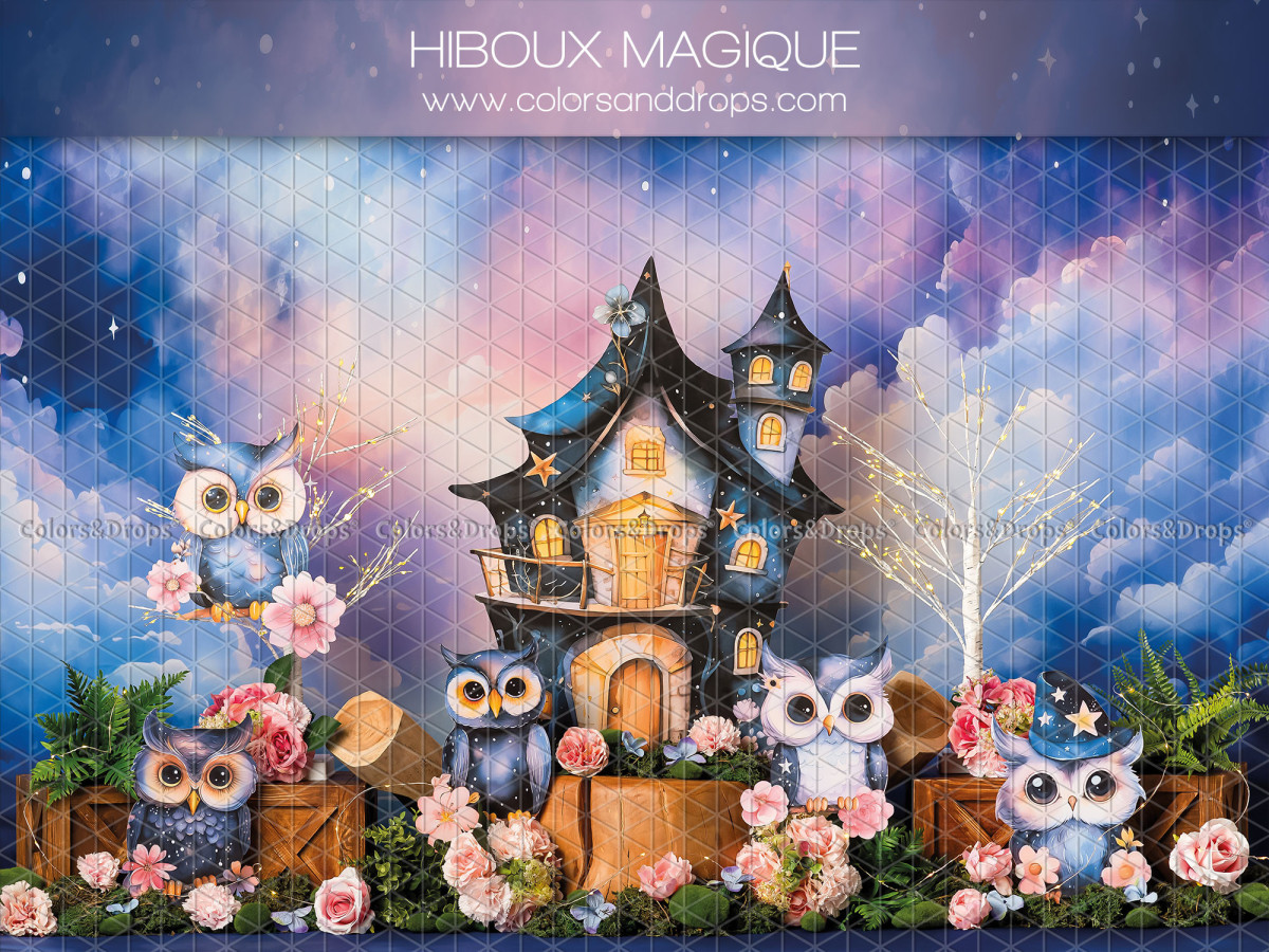 Fond photo bébé et smash cake Hiboux Magique – hiboux magiques avec maison et ciel nuageux coloré | Colors&Drops
