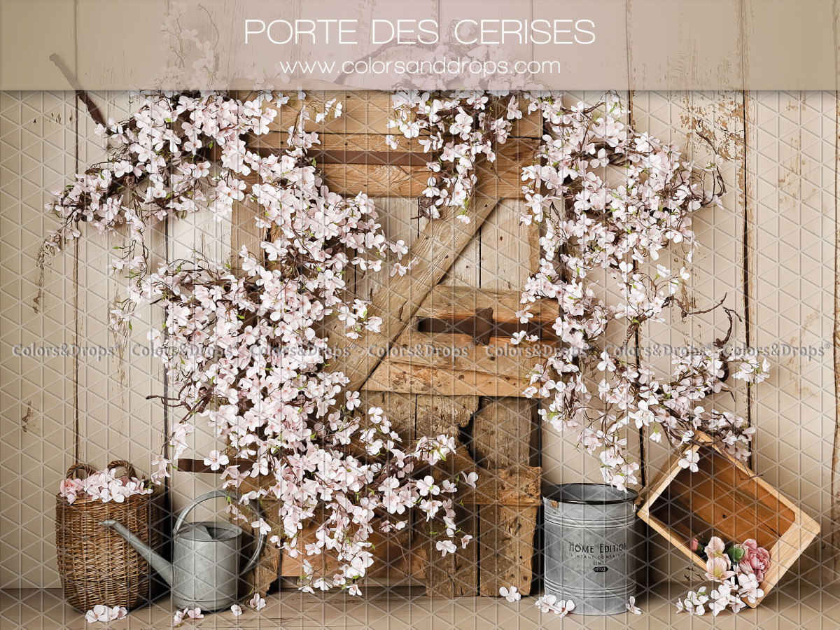 Fond photo bébé et smash cake Porte des Cerises – porte en bois avec branches de cerisier en fleurs | Colors&Drops