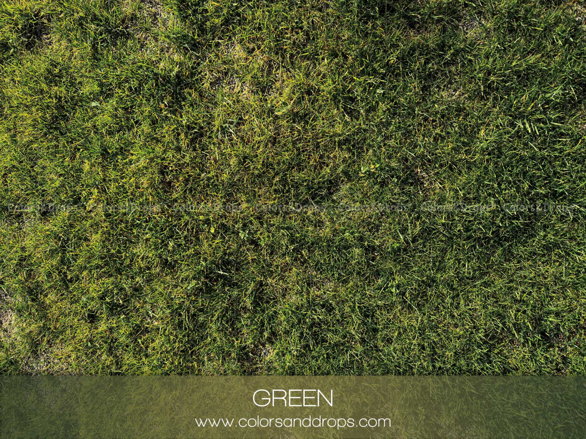 Suelo fotográfico Green – textura de hierba verde densa | Colors&Drops
