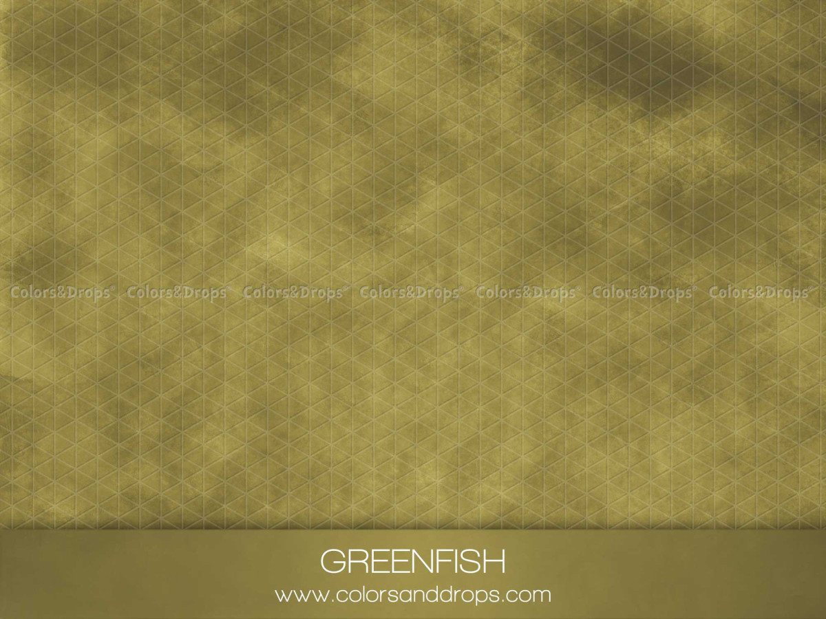 Suelo fotográfico Green Fish – textura efecto pintura verde oliva | Colors&Drops