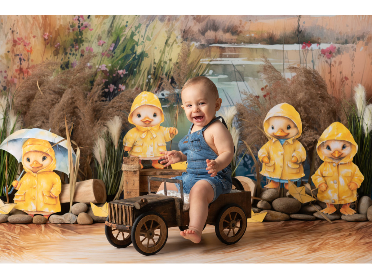Fond photo bébé et smash cake Canetons – canetons en ciré jaune au bord d'un étang | Colors&Drops