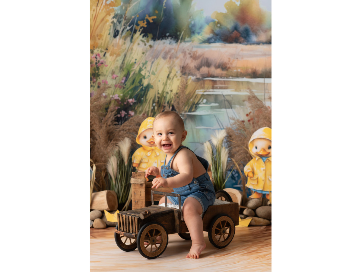 Fond photo bébé et smash cake Canetons – canetons en ciré jaune au bord d'un étang | Colors&Drops
