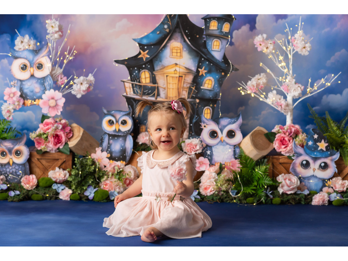 Fond photo bébé et smash cake Hiboux Magique – hiboux magiques avec maison et ciel nuageux coloré | Colors&Drops