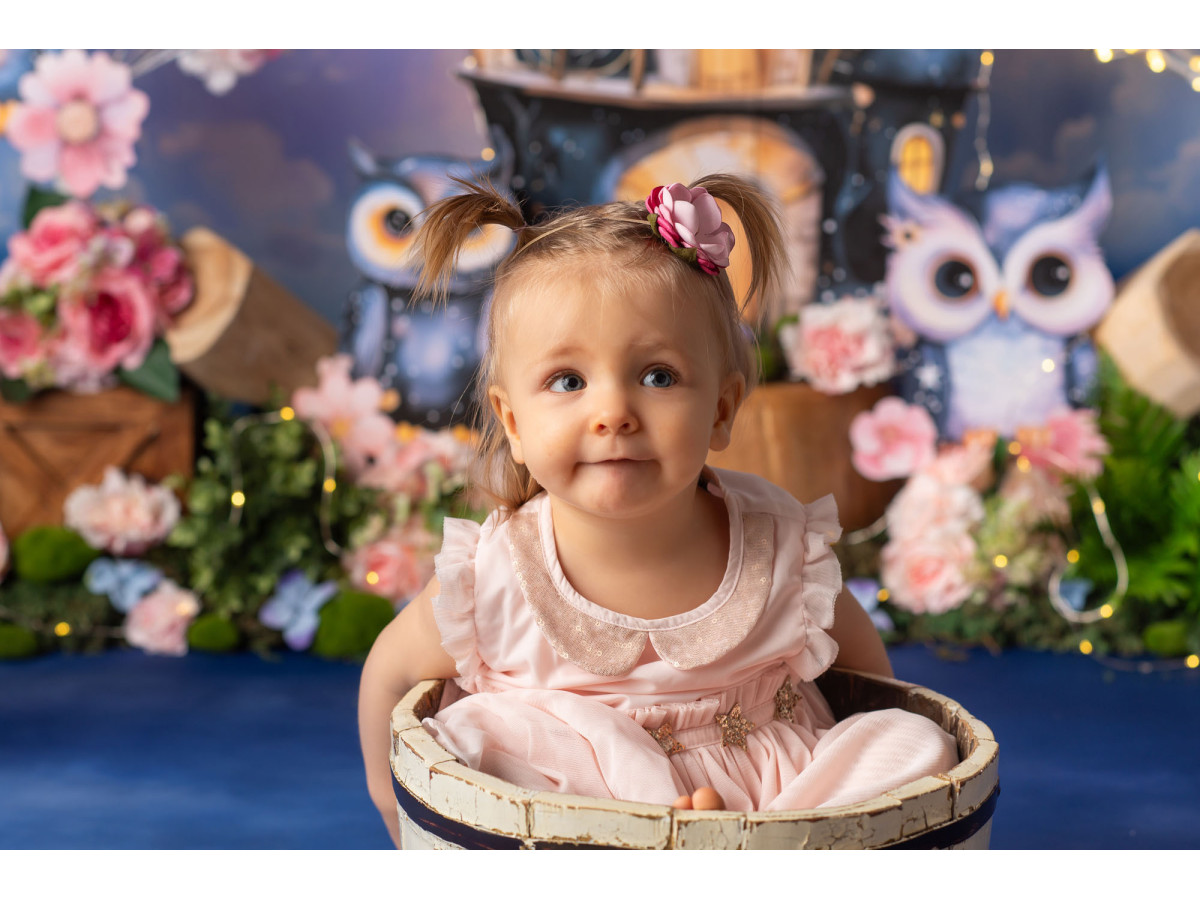 Fond photo bébé et smash cake Hiboux Magique – hiboux magiques avec maison et ciel nuageux coloré | Colors&Drops
