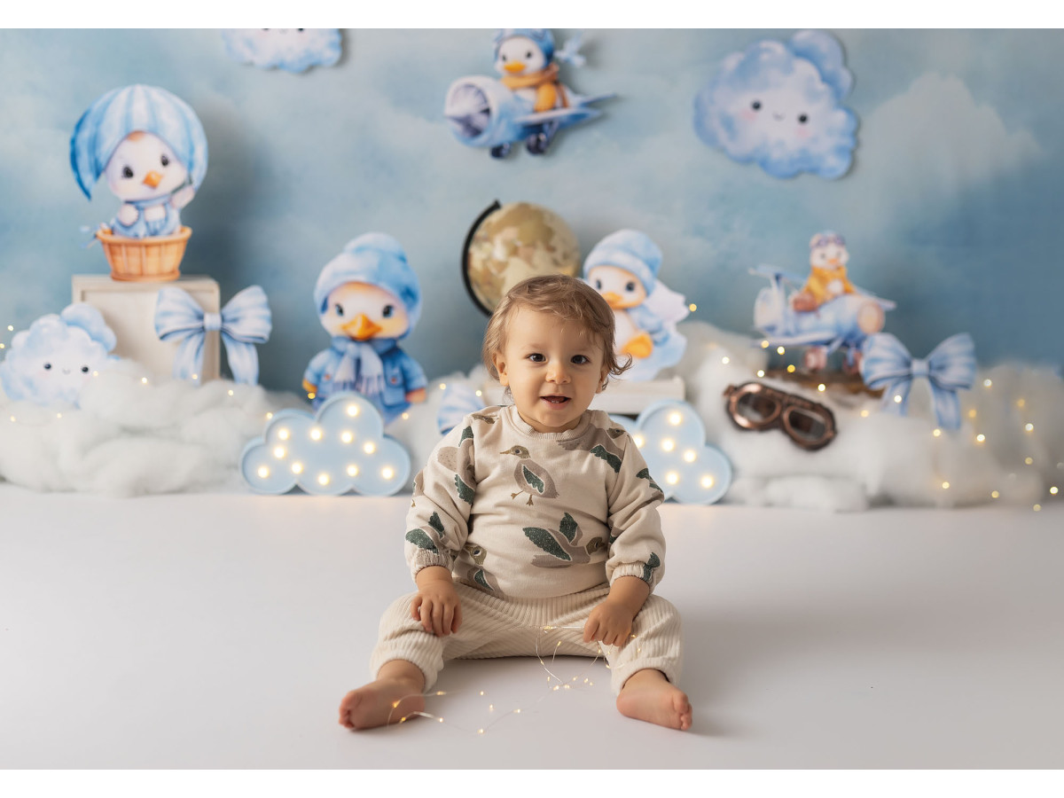 Fond photo bébé et smash cake Canard Fly – canards aviateurs en peluche dans les nuages | Colors&Drops