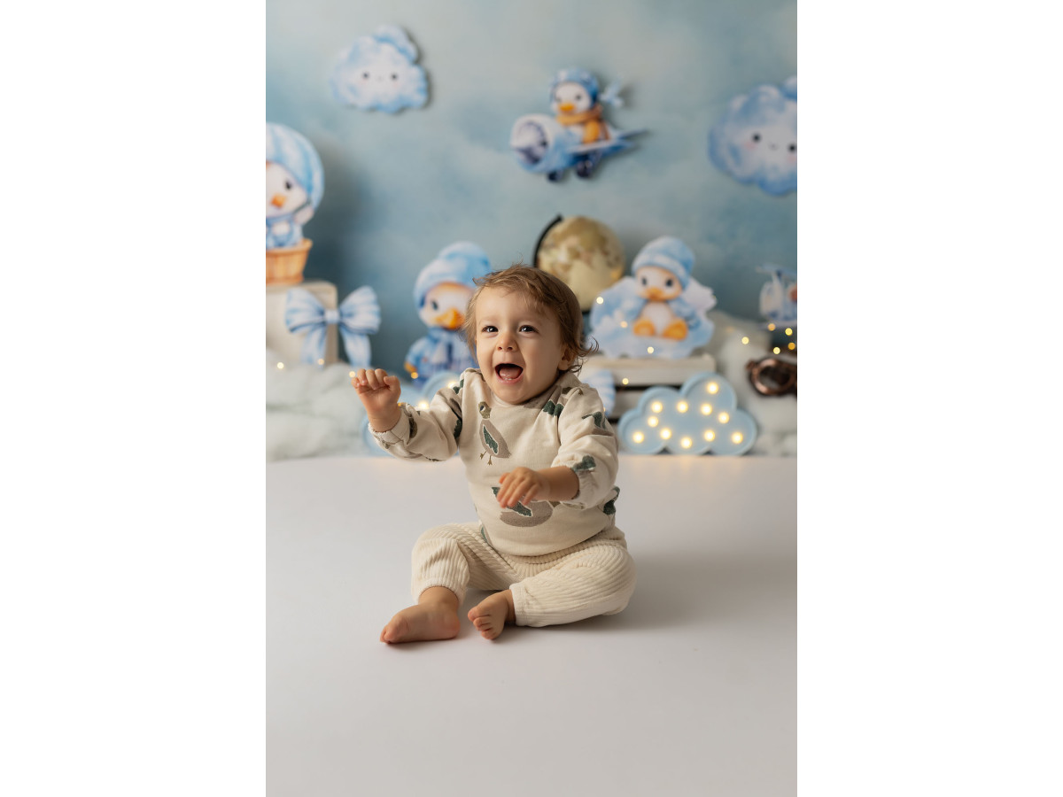 Fond photo bébé et smash cake Canard Fly – canards aviateurs en peluche dans les nuages | Colors&Drops