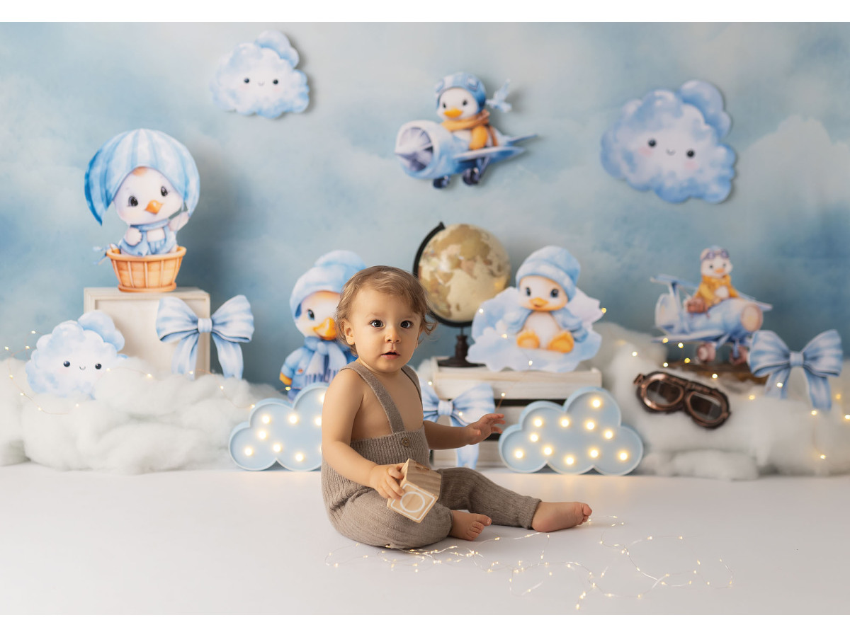 Fond photo bébé et smash cake Canard Fly – canards aviateurs en peluche dans les nuages | Colors&Drops