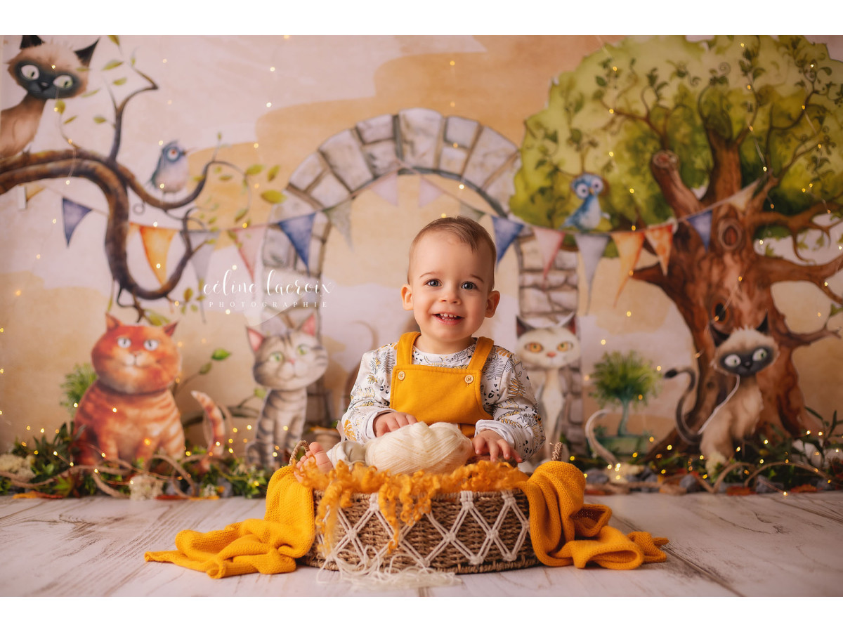 Baby & cake smash photo backdrop Chats de Gouttiere – illustrated cats with stone arch and tree | Colors&Drops