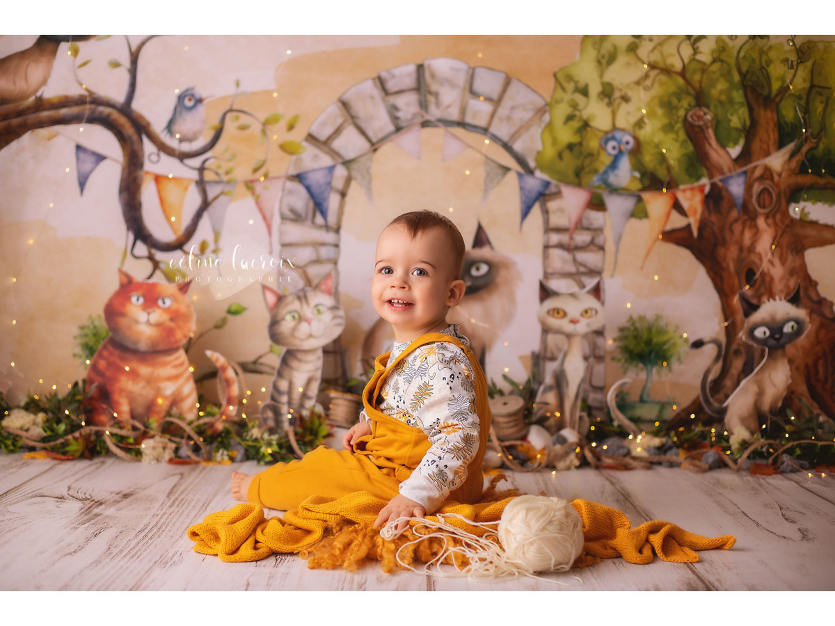Fond photo bébé et smash cake Chats de Gouttiere – chats illustrés avec arche en pierre et arbre | Colors&Drops