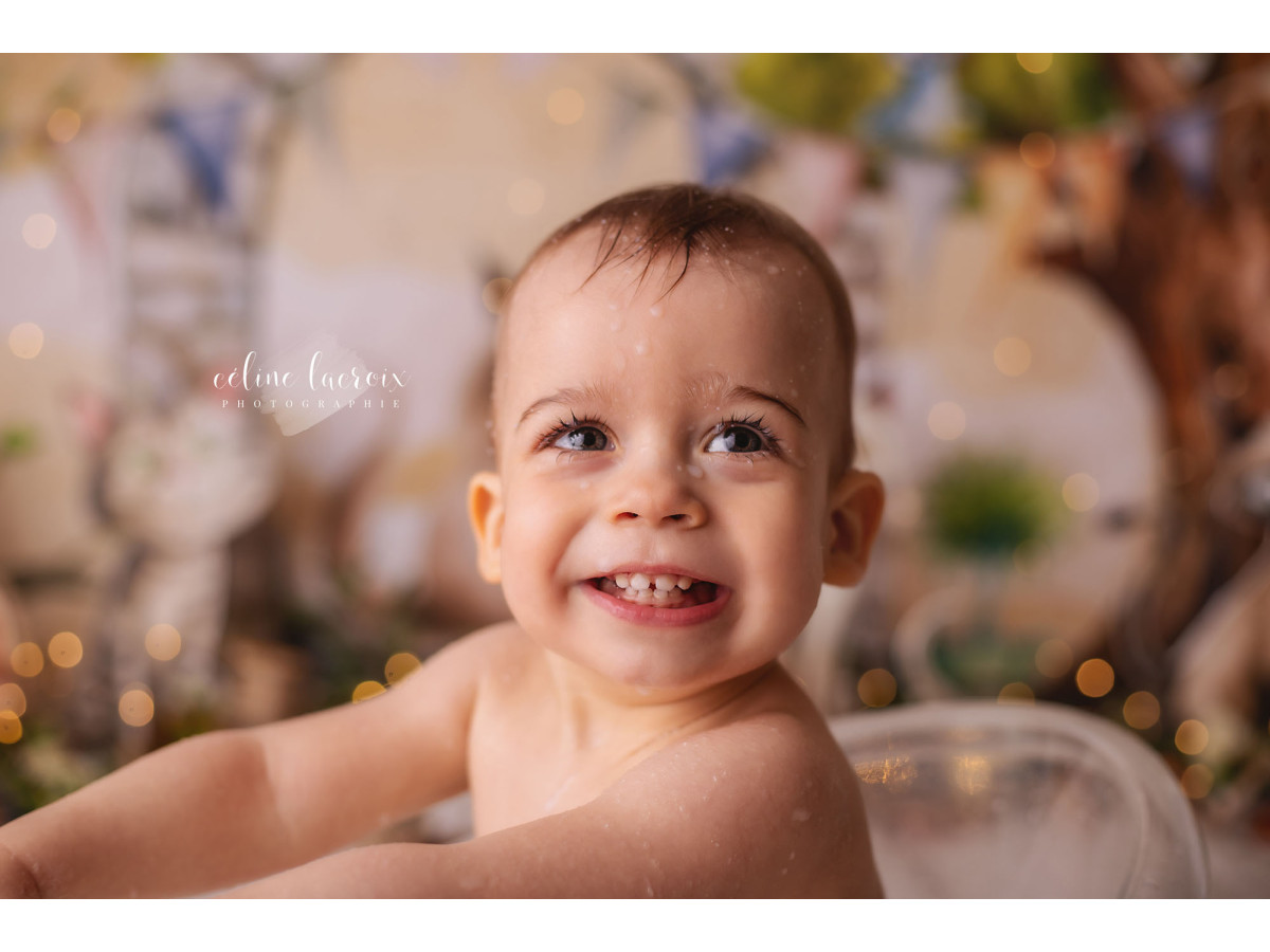 Fond photo bébé et smash cake Chats de Gouttiere – chats illustrés avec arche en pierre et arbre | Colors&Drops