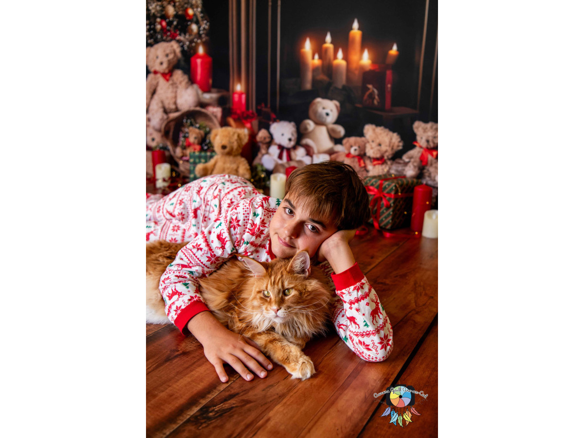 Photo backdrop Christmas Teddy Fire Place – Christmas fireplace with teddy bears, candles and red curtains | Colors&Drops
