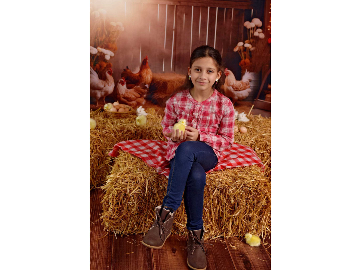 Fond photo bébé et smash cake Poulettes – poules dans une grange en bois avec paille | Colors&Drops
