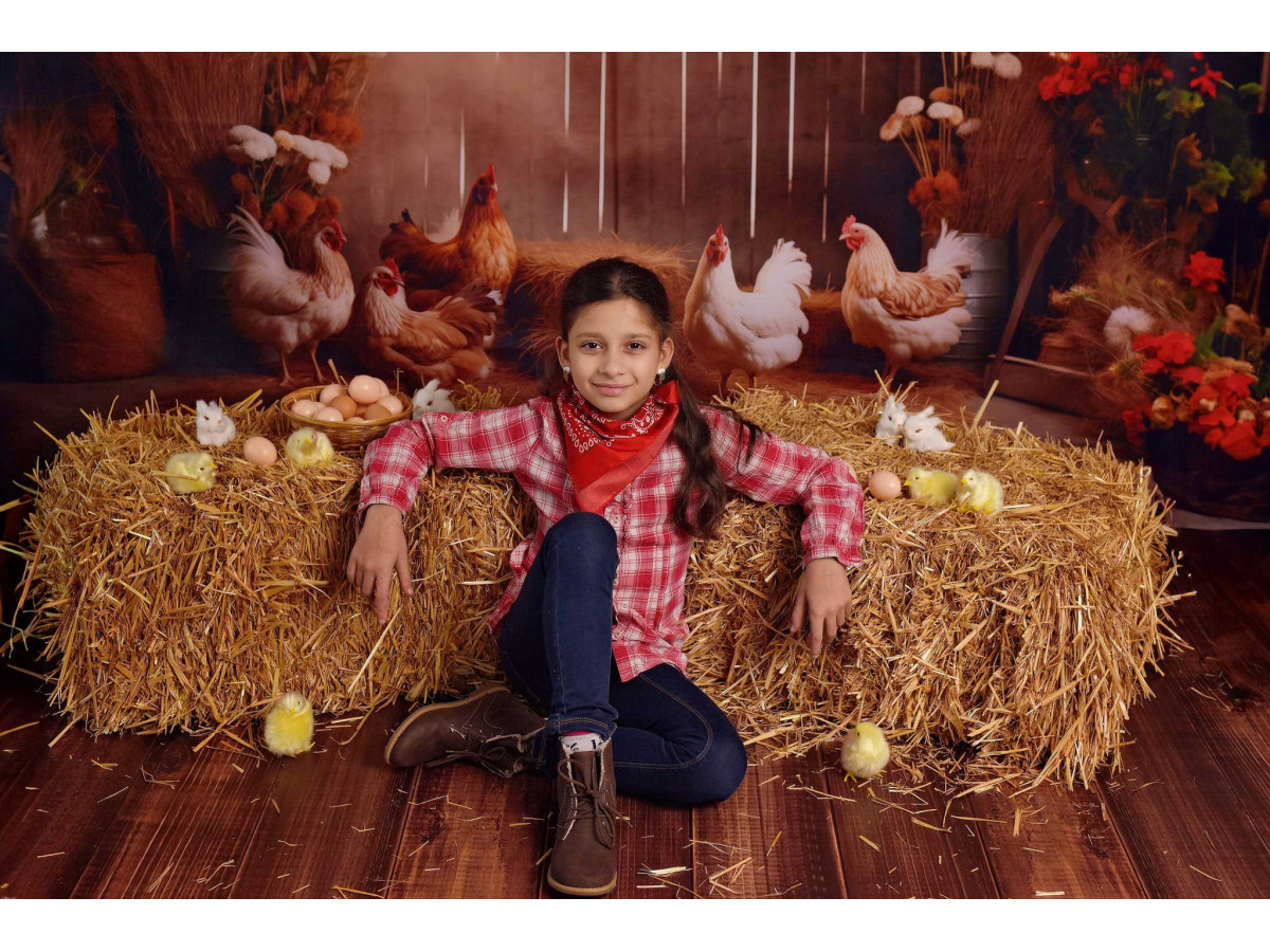 Fond photo bébé et smash cake Poulettes – poules dans une grange en bois avec paille | Colors&Drops