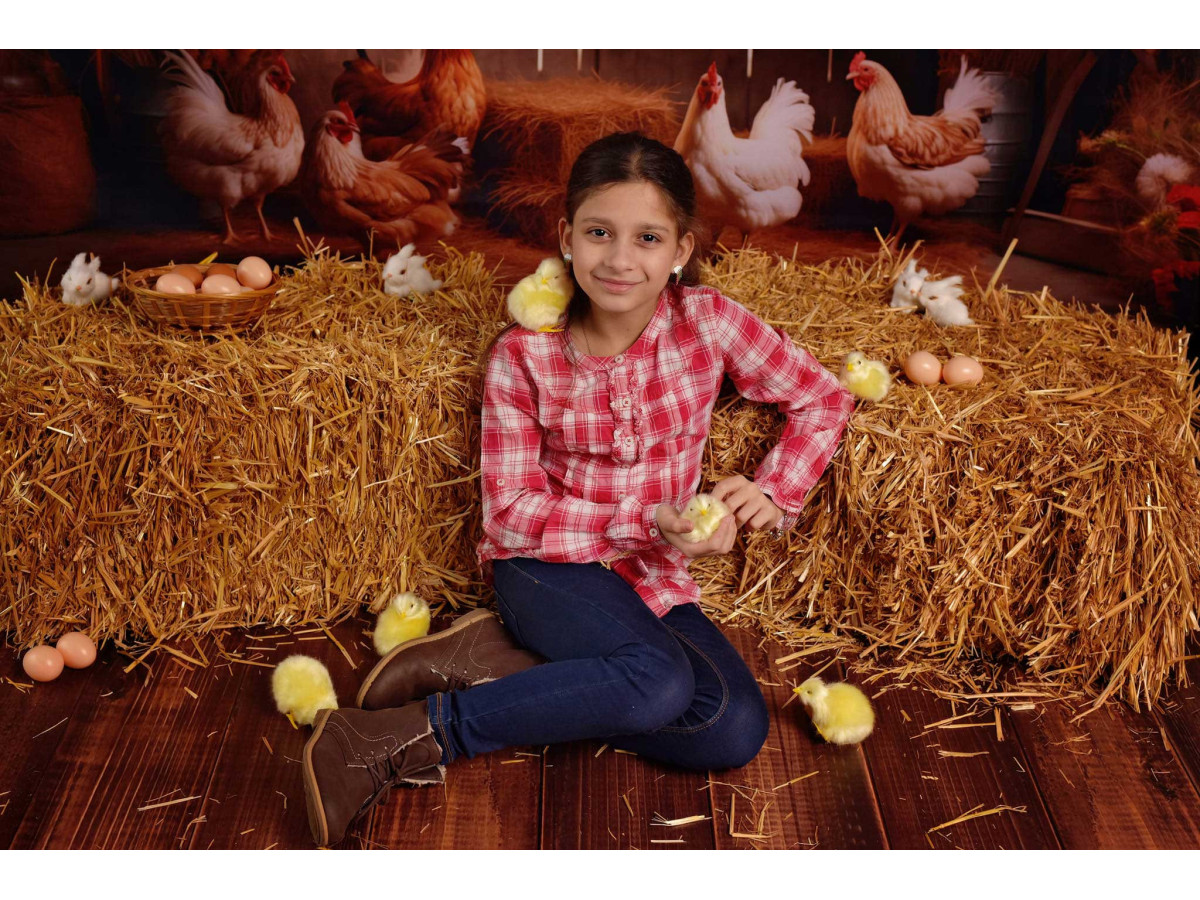 Baby & cake smash photo backdrop Poulettes – hens in a wooden barn with straw | Colors&Drops
